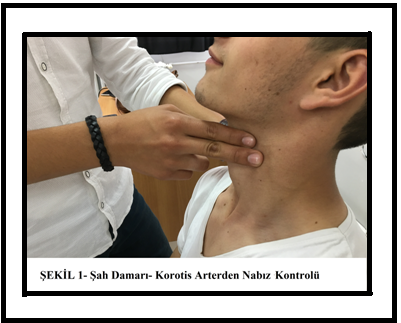 İlk Yardım Öğreniyoruz by Ena - Ourboox.com