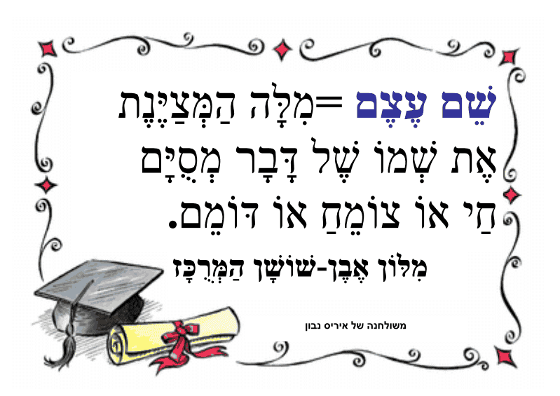 מאפייני שם העצם by anguach kg - Ourboox.com