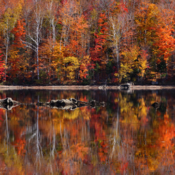 פרויקט עיוני בצילום by shahar smoelov - Illustrated by שחר שמואלוב - Ourboox.com