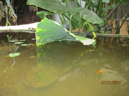 פרויקט עיוני בצילום by shahar smoelov - Illustrated by שחר שמואלוב - Ourboox.com