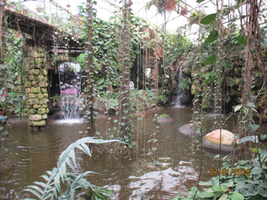 פרויקט עיוני בצילום by shahar smoelov - Illustrated by שחר שמואלוב - Ourboox.com