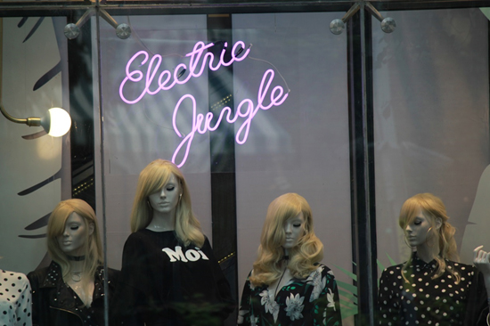 עבודת חקר בצילום by Dana - Illustrated by דנה נסימוב - Ourboox.com