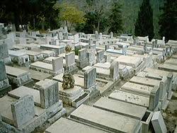 תקומה – מגישות ירדן וטל ח2 by yarden tal - Illustrated by ירדן וטל ח2 - Ourboox.com