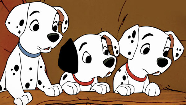 ממש גיבור – מעובד לפי הפרק הראשון בספר “נולד לרוץ” מאת מייקל מורפורגו, תרגום: נעמי דרום, 2008 by ofir miz - Illustrated by שיר ואופיר - Ourboox.com