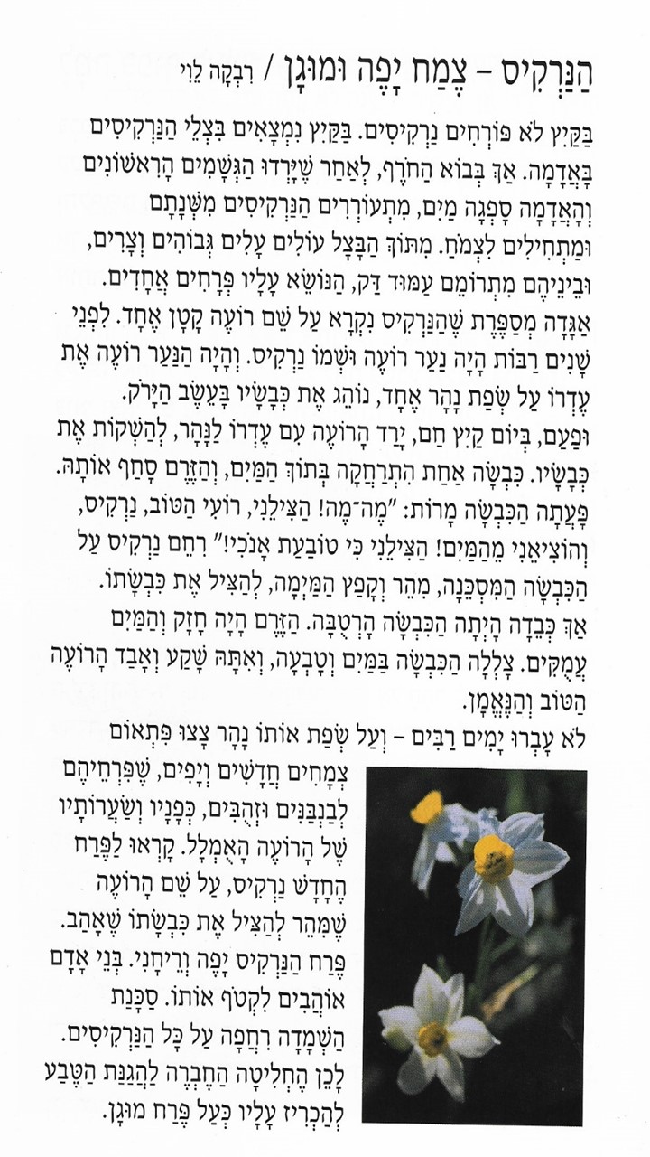 סיפורי למה by shlomit - Illustrated by שלומית צרויה - Ourboox.com