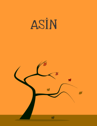 ASİN by NİSA NUR ÜZ - Ourboox.com