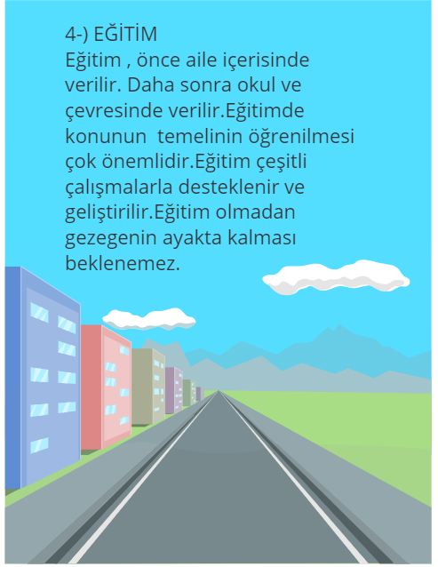 ASİN by NİSA NUR ÜZ - Ourboox.com