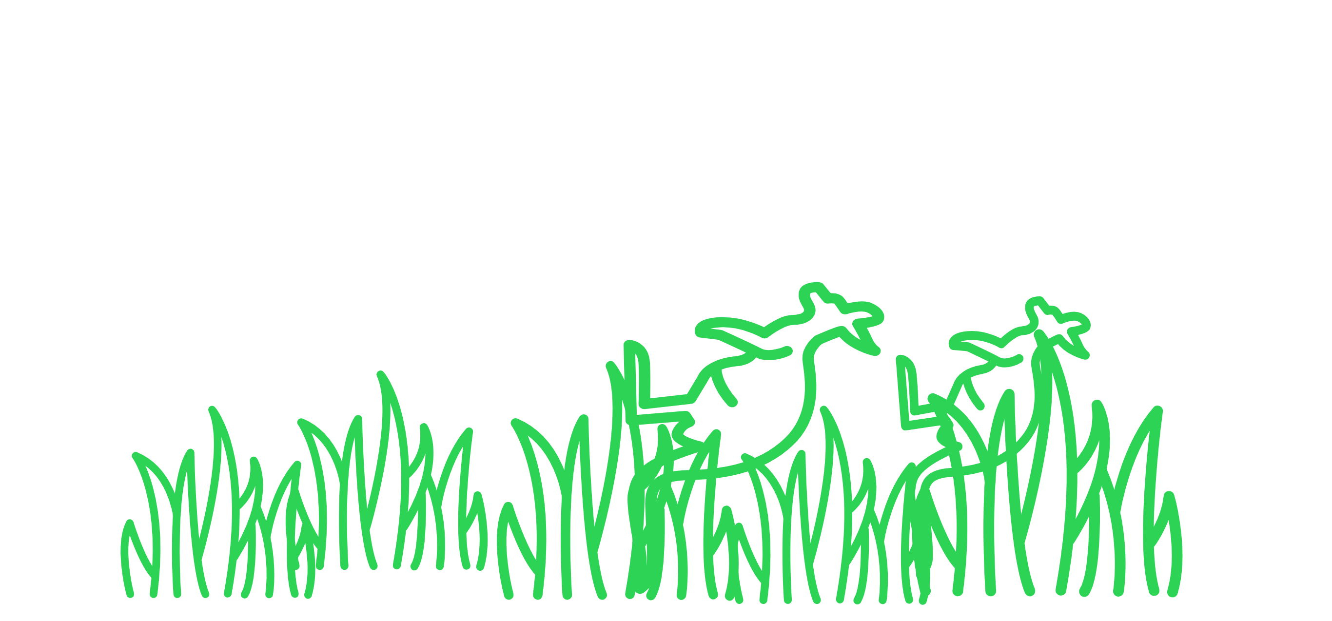 פקלנין ואברהם by shani zohar - Illustrated by נאור בן משה - Ourboox.com