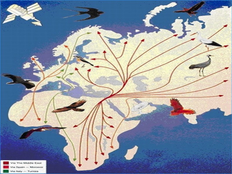 גיאולוגיה by itay kraise - Illustrated by איתי קרייס, רון זמיר, עמית טרקין, יאיר פרחוב, רון פלק - Ourboox.com