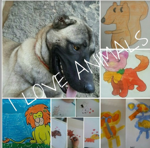 I LOVE ANIMALS ETwinning project by Nafsika Koulouri - Illustrated by I love animals partners - Ourboox.com