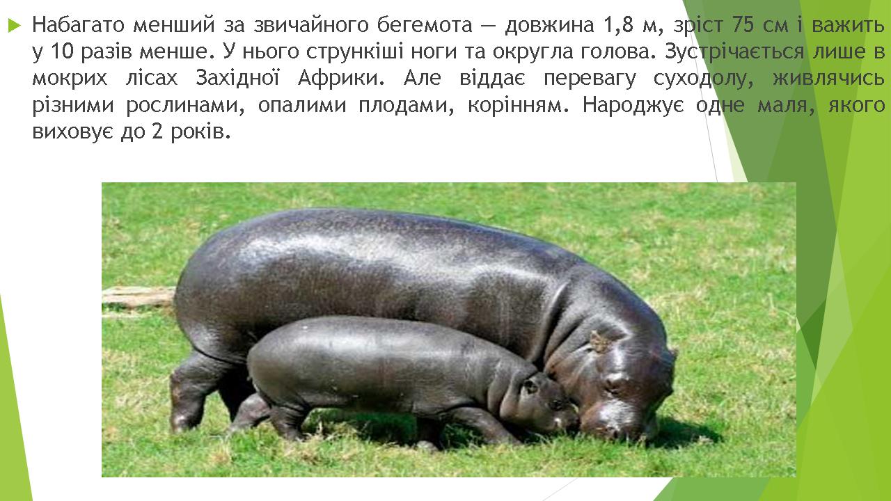 Унікальна біота Африки by Pivovar - Ourboox.com