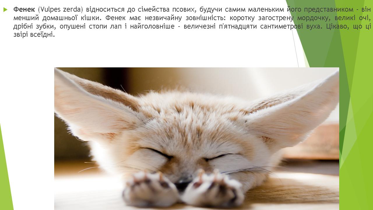 Унікальна біота Африки by Pivovar - Ourboox.com