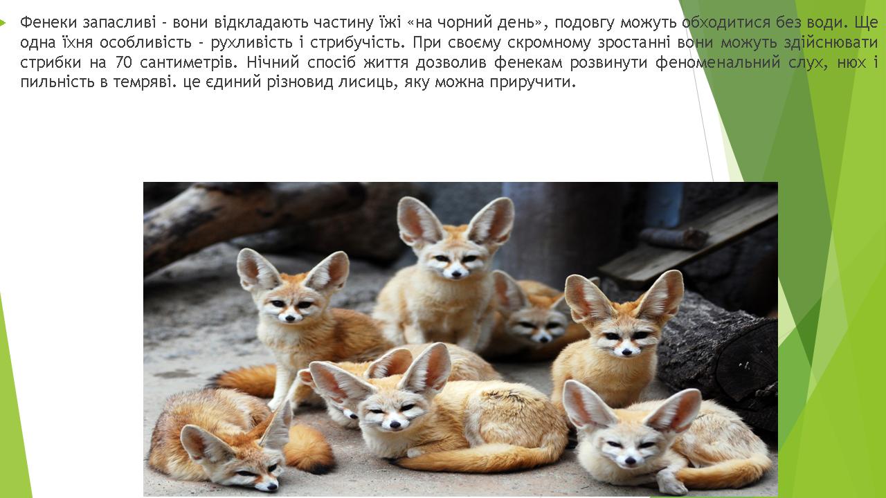 Унікальна біота Африки by Pivovar - Ourboox.com