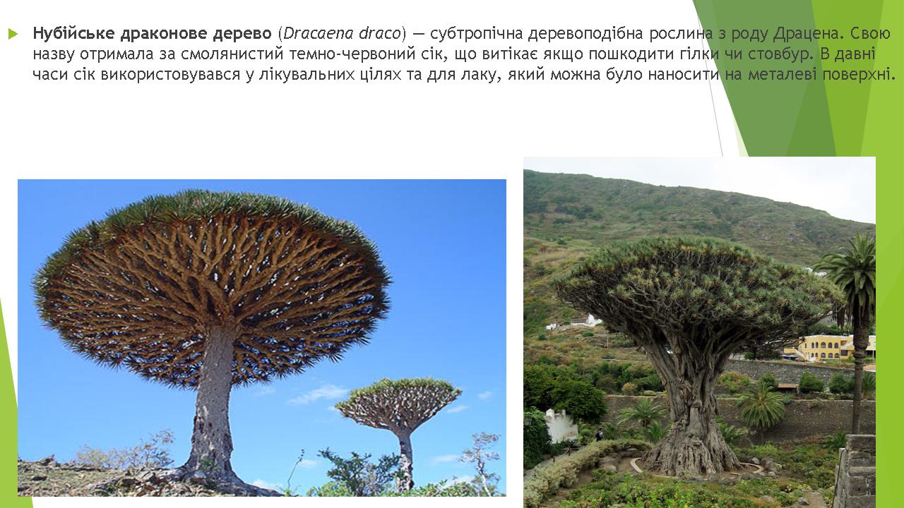 Унікальна біота Африки by Pivovar - Ourboox.com