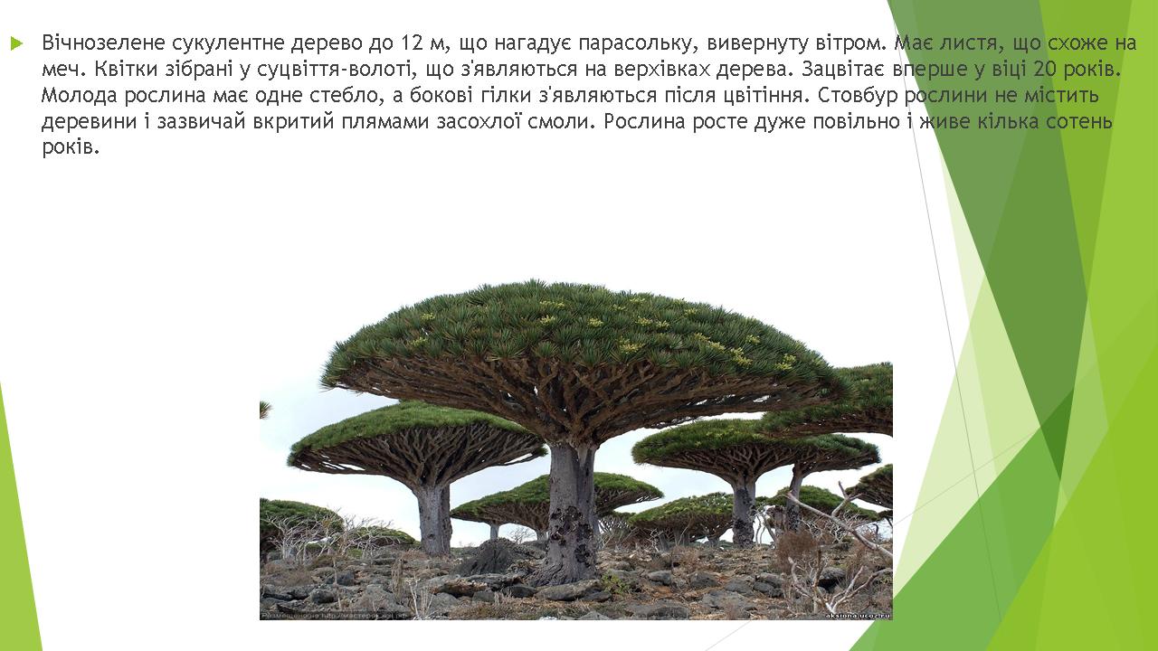 Унікальна біота Африки by Pivovar - Ourboox.com