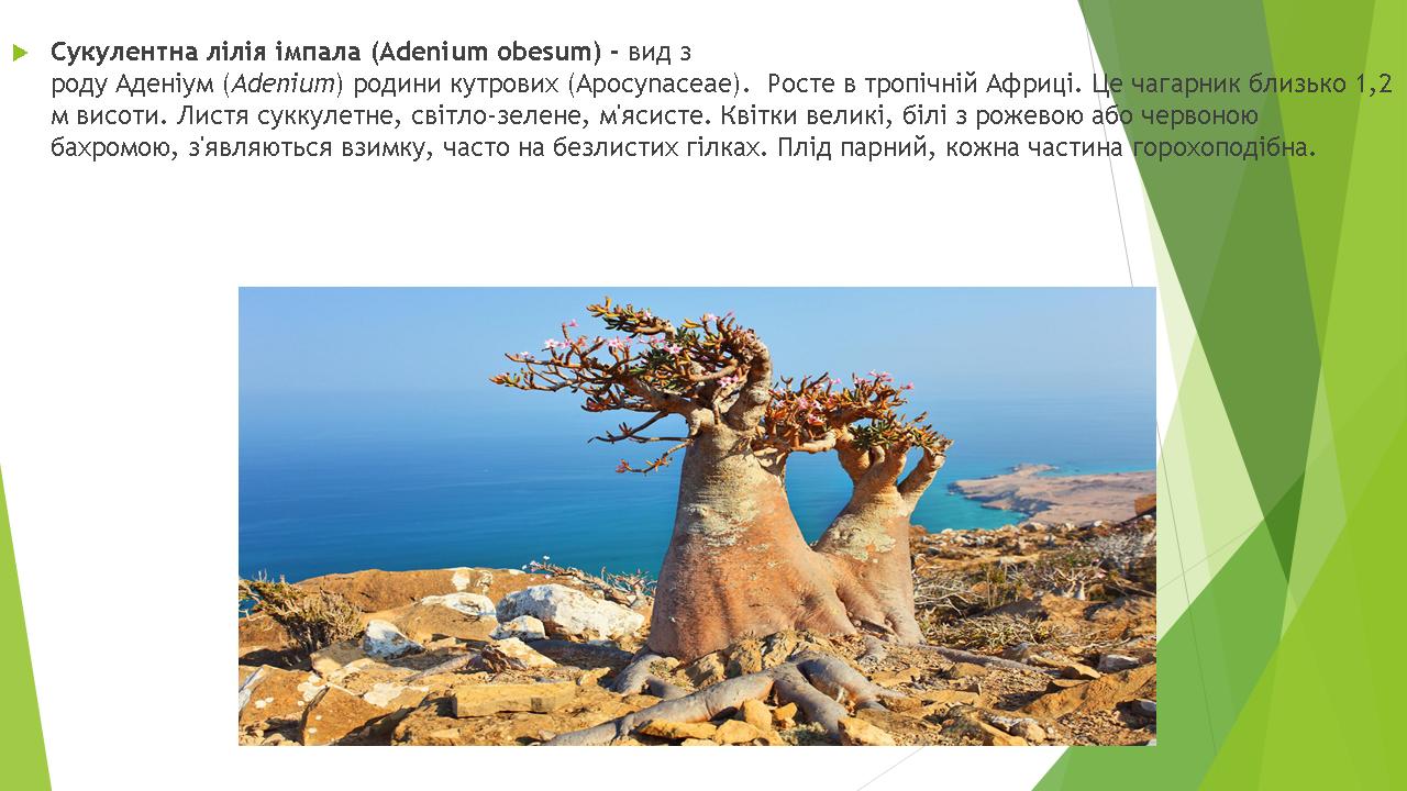 Унікальна біота Африки by Pivovar - Ourboox.com