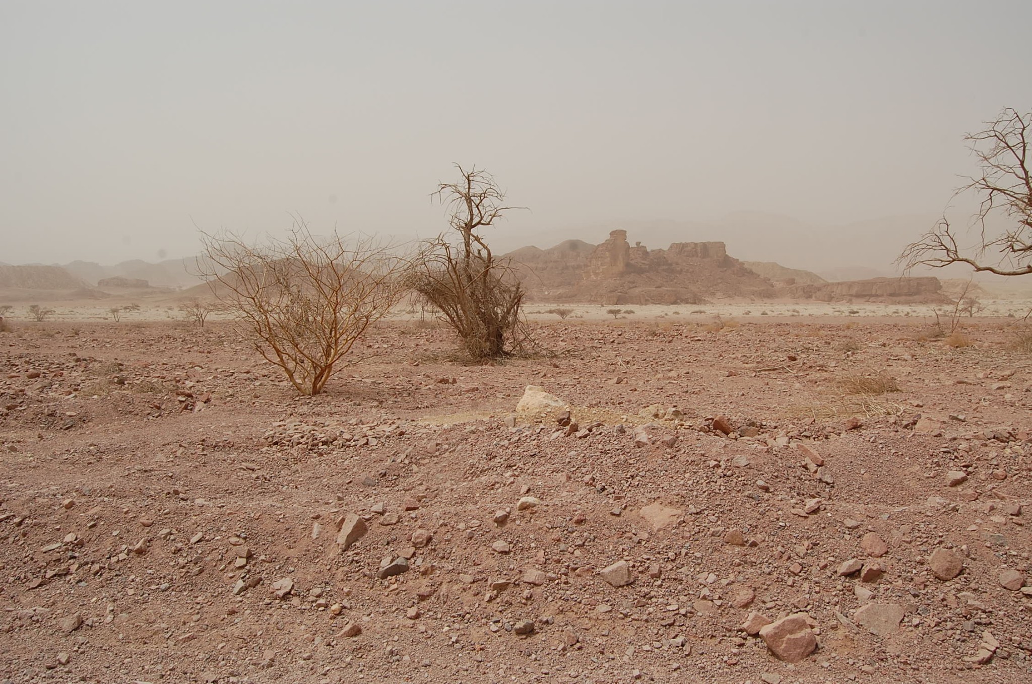 בורות , יומן מסע by maya dadon - Ourboox.com