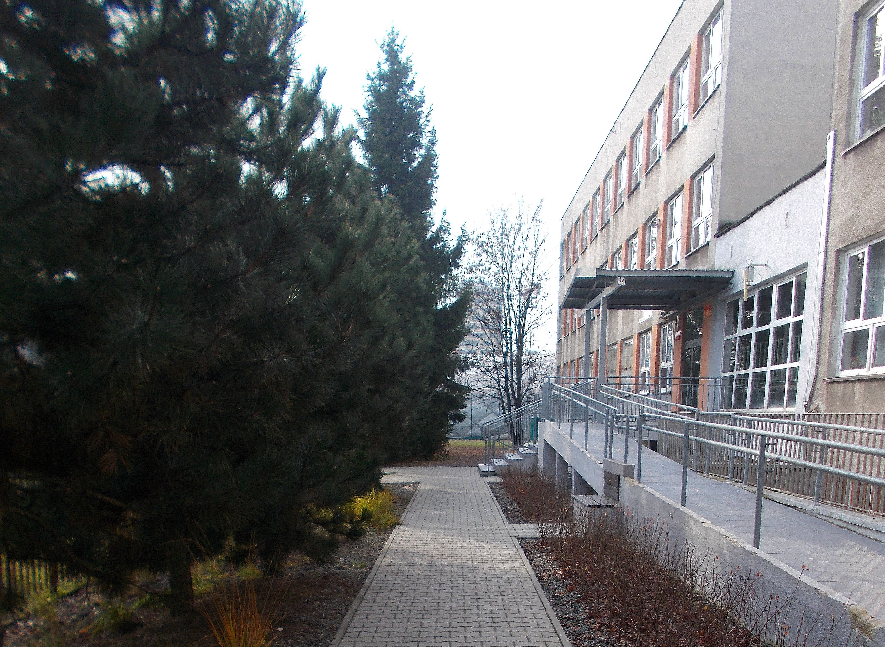 I LOVE ANIMALS ETwinning project by Nafsika Koulouri - Illustrated by I love animals partners - Ourboox.com