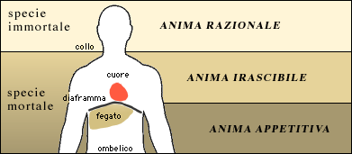 PLATONE_MATILDE_ZILIO by Matilde Zilio - Ourboox.com