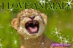 I LOVE ANIMALS ETwinning project by Nafsika Koulouri - Illustrated by I love animals partners - Ourboox.com