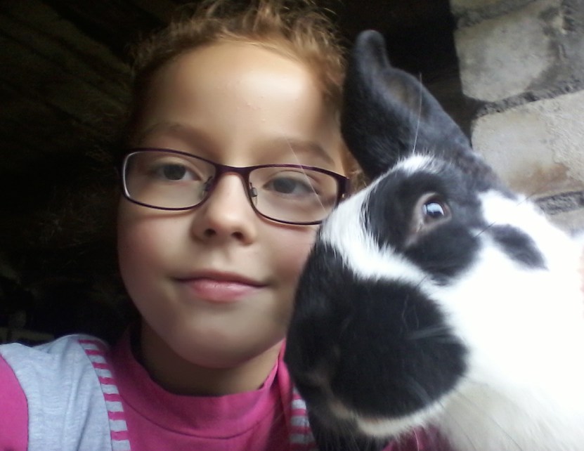 I LOVE ANIMALS ETwinning project by Nafsika Koulouri - Illustrated by I love animals partners - Ourboox.com