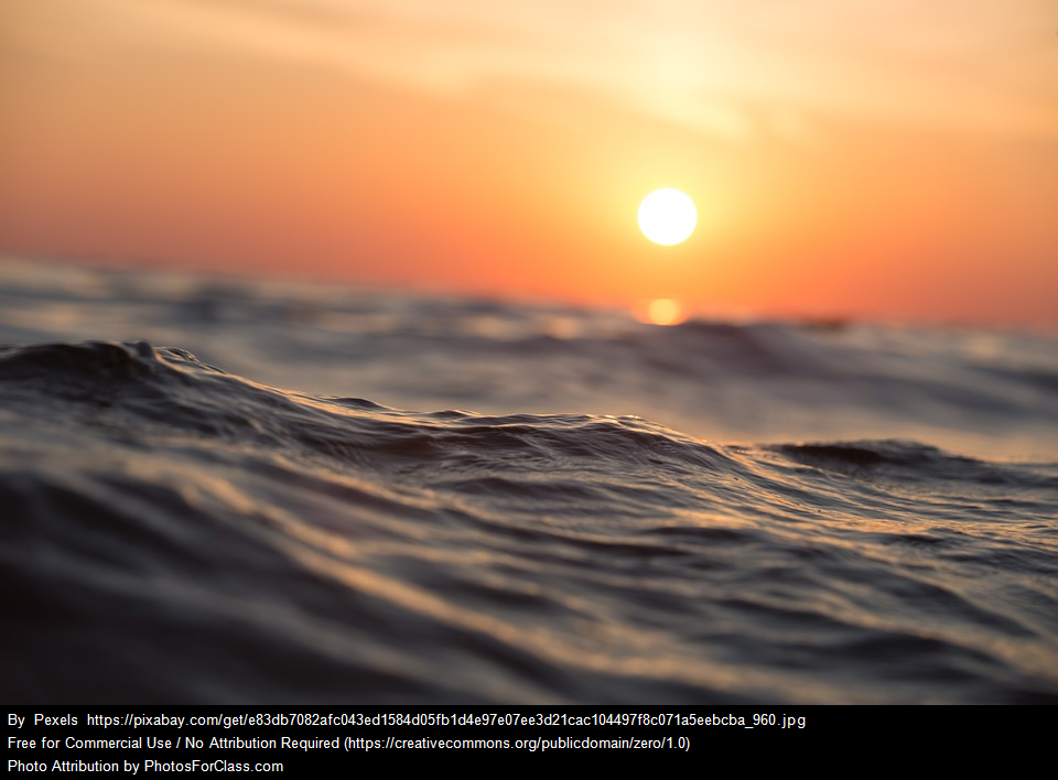 A busy day by Martina Maruelli - Ourboox.com