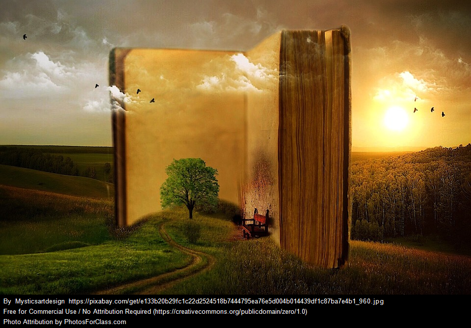 A busy day by Martina Maruelli - Ourboox.com