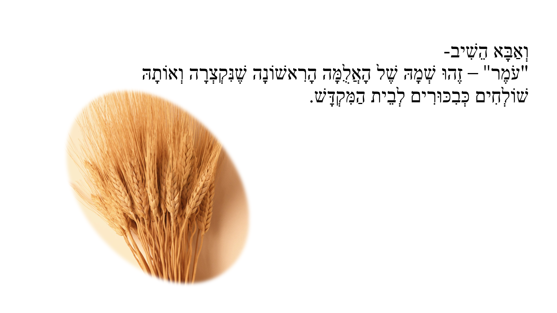 סיפור ל”ג בעומר by lidor hasan - Ourboox.com