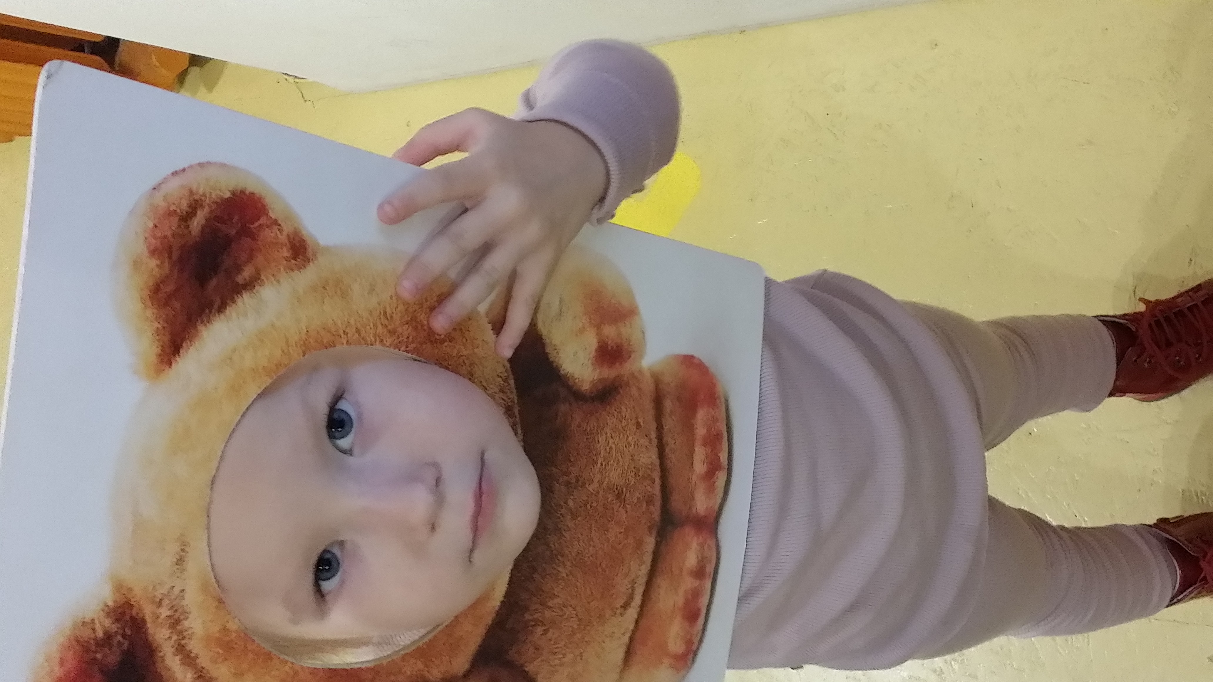 I LOVE ANIMALS ETwinning project by Nafsika Koulouri - Illustrated by I love animals partners - Ourboox.com