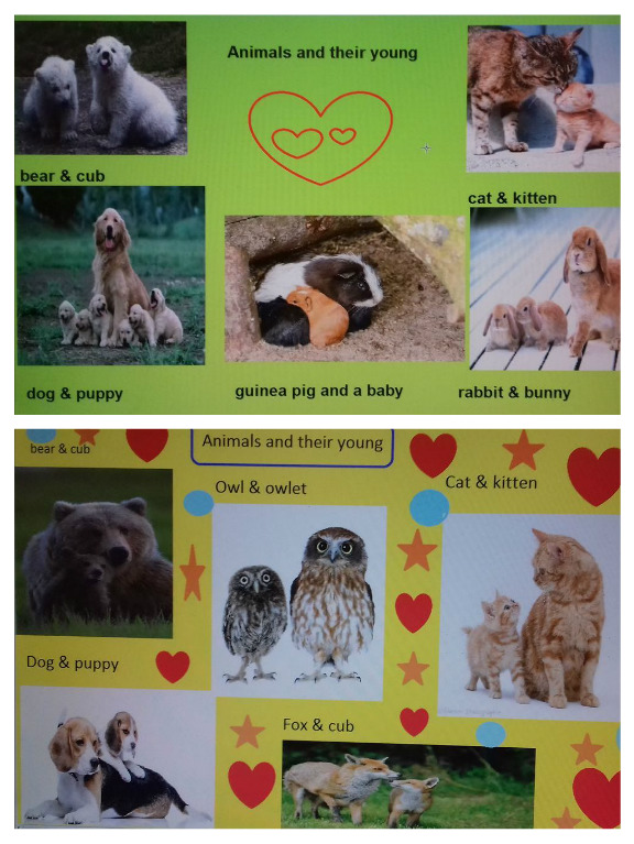 I LOVE ANIMALS ETwinning project by Nafsika Koulouri - Illustrated by I love animals partners - Ourboox.com
