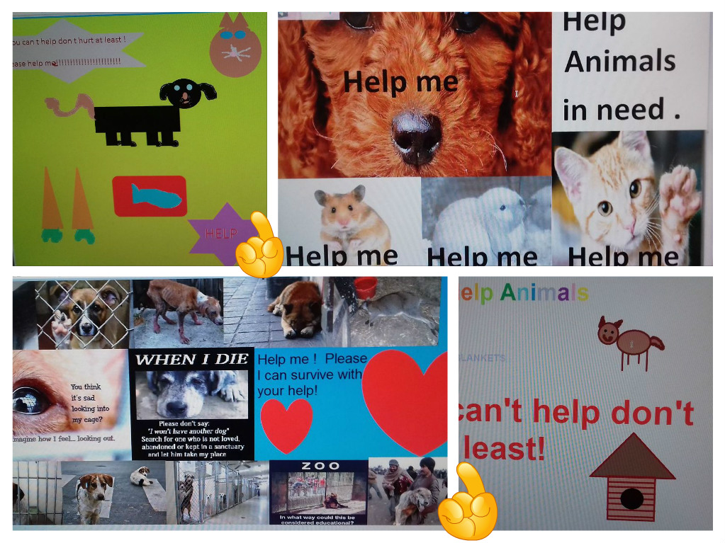 I LOVE ANIMALS ETwinning project by Nafsika Koulouri - Illustrated by I love animals partners - Ourboox.com