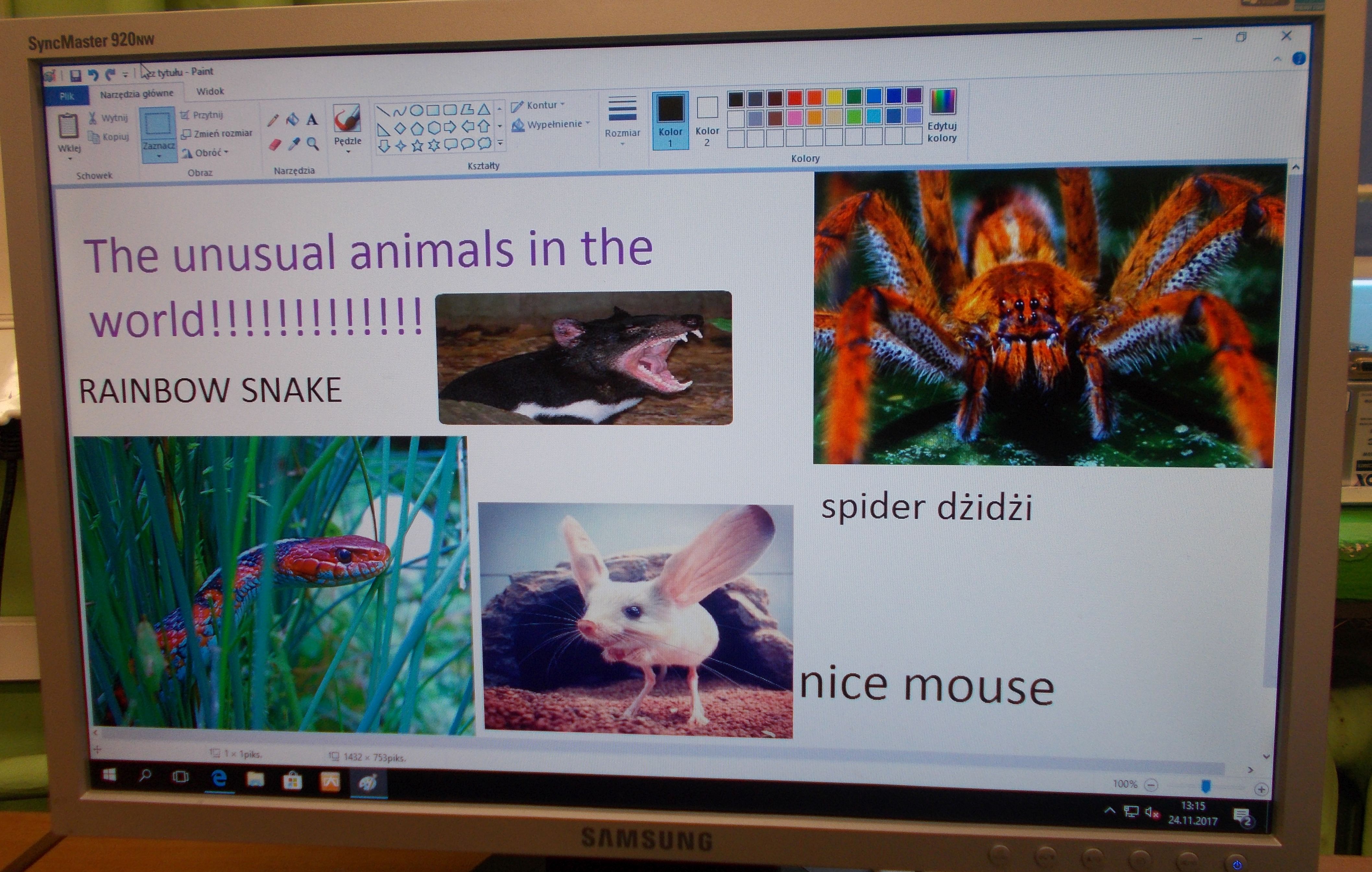 I LOVE ANIMALS ETwinning project by Nafsika Koulouri - Illustrated by I love animals partners - Ourboox.com