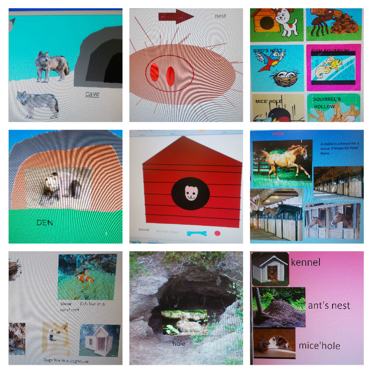 I LOVE ANIMALS ETwinning project by Nafsika Koulouri - Illustrated by I love animals partners - Ourboox.com
