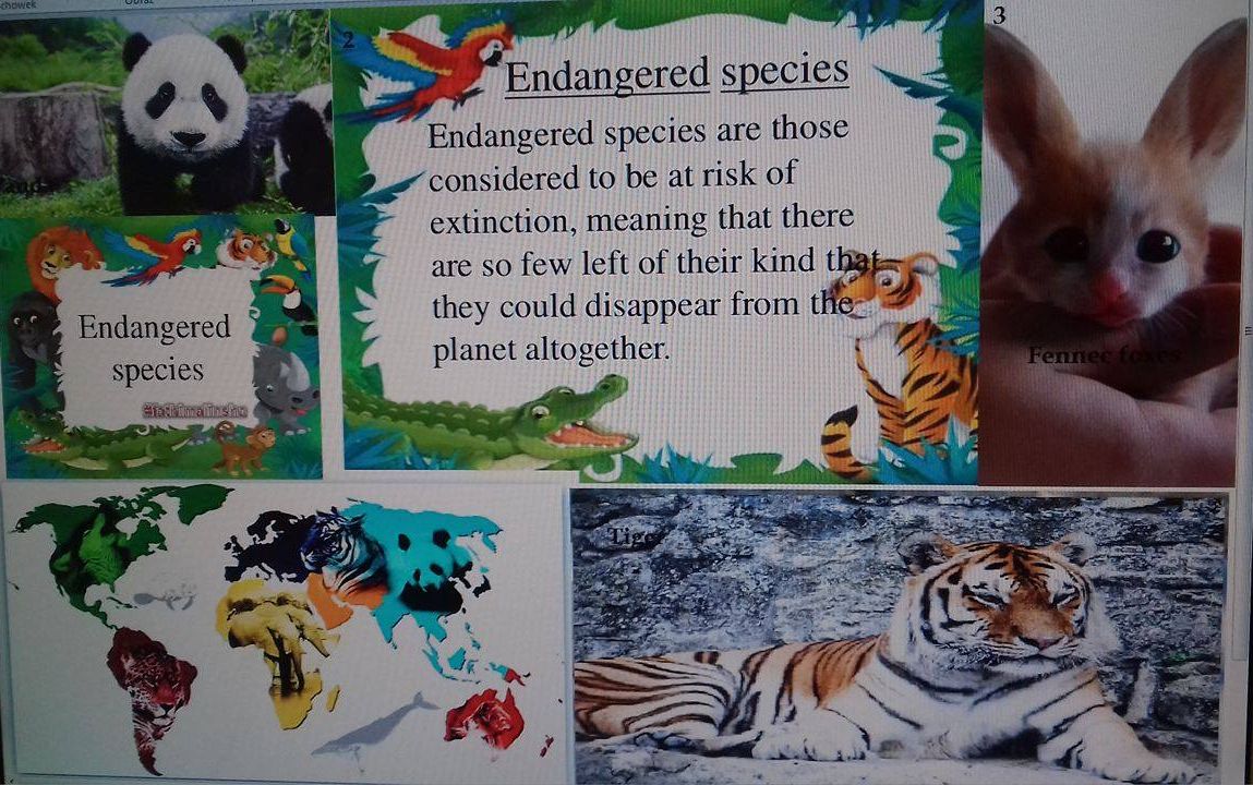 I LOVE ANIMALS ETwinning project by Nafsika Koulouri - Illustrated by I love animals partners - Ourboox.com