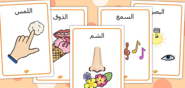 الحواس الخمس by Amal Bader - Illustrated by المعلمة   أمل بدر  - Ourboox.com