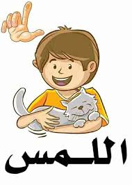 الحواس الخمس by Amal Bader - Illustrated by المعلمة   أمل بدر  - Ourboox.com