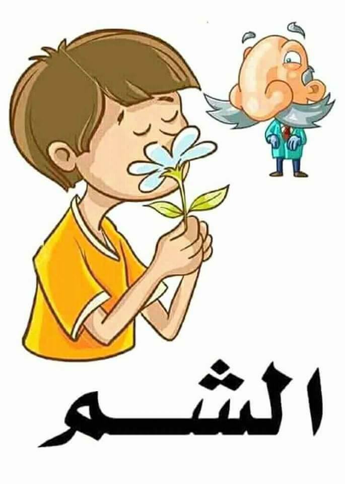 الحواس الخمس by Amal Bader - Illustrated by المعلمة   أمل بدر  - Ourboox.com
