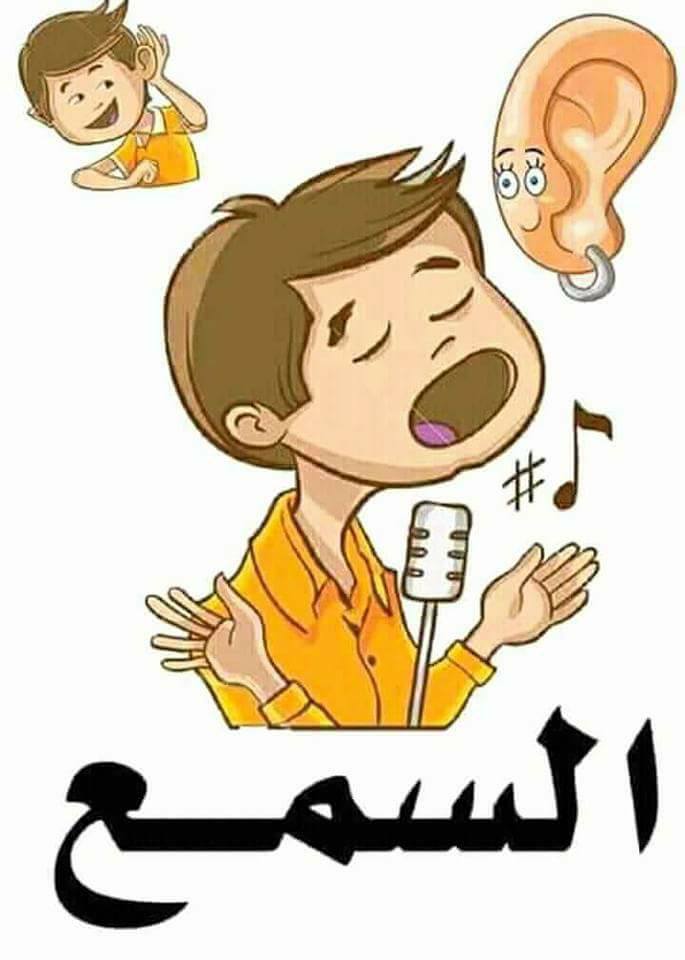 الحواس الخمس by Amal Bader - Illustrated by المعلمة   أمل بدر  - Ourboox.com