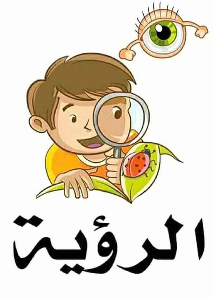 الحواس الخمس by Amal Bader - Illustrated by المعلمة   أمل بدر  - Ourboox.com