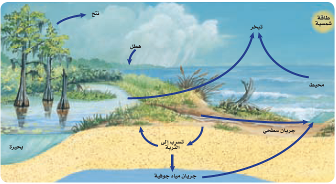 دوره المياه في الطبيعه by nsaam - Ourboox.com