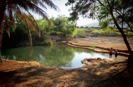 ילדי ארץ ישראל מספרים by snir cohen - Illustrated by שניר כהן בהנחיית המורה טלי אזור - Ourboox.com
