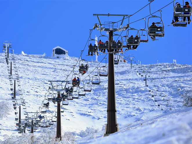 ילדי ארץ ישראל מספרים by snir cohen - Illustrated by שניר כהן בהנחיית המורה טלי אזור - Ourboox.com