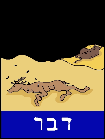 יומן מסע היוצא ממצרים ( שיר וגאיה ) by GAYA AND SHIR - Ourboox.com