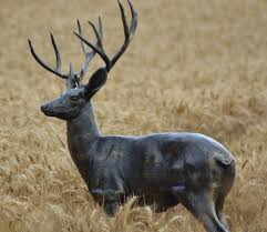 The Horse, the Hunter, and the Stag by Tal - Ourboox.com