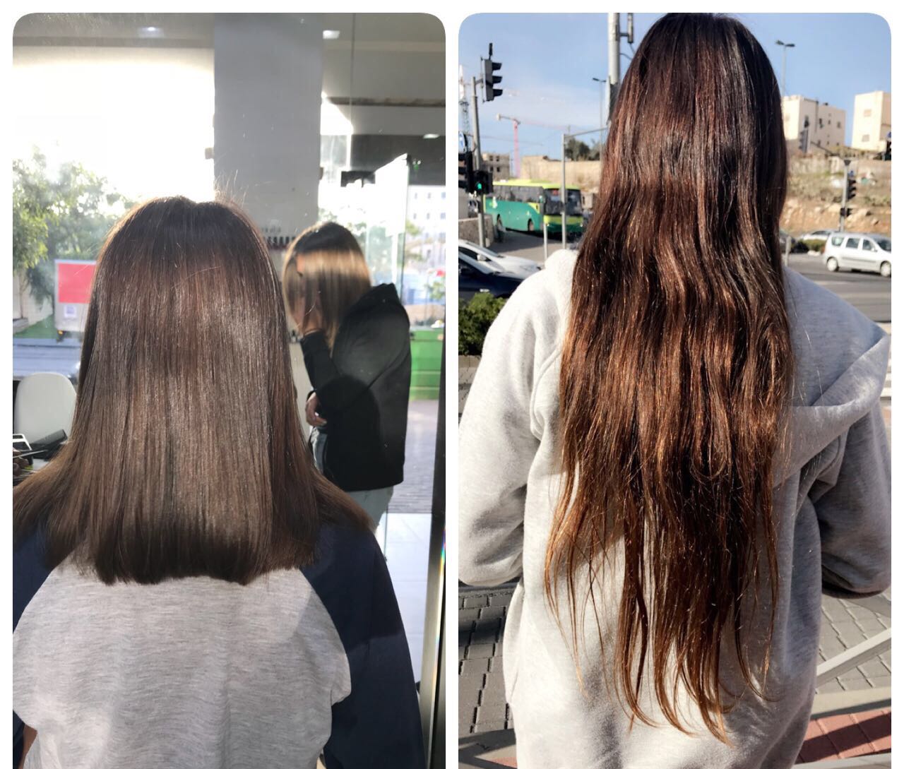 עבודת השורשים שלי by Hila yagen - Ourboox.com