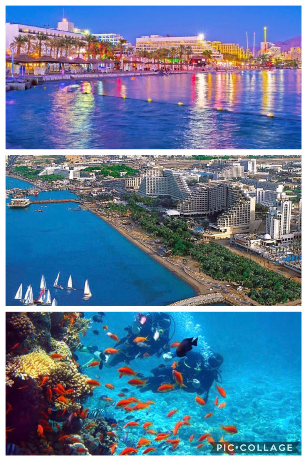 עבודת השורשים שלי by Hila yagen - Ourboox.com