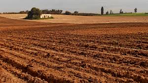 פרה שומרת שבת by ayala vizel - Ourboox.com