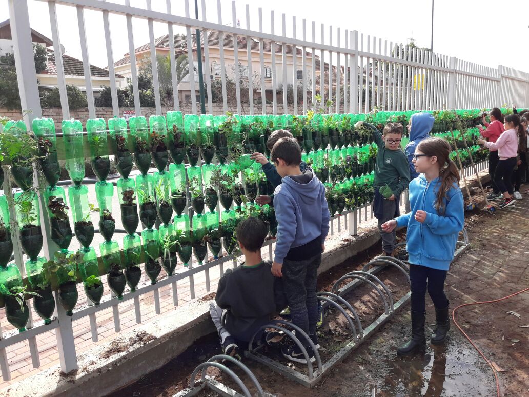 כל בית הספר נרתם למטרה אחת להקים קיר ירוק בבית ספר של שתילים