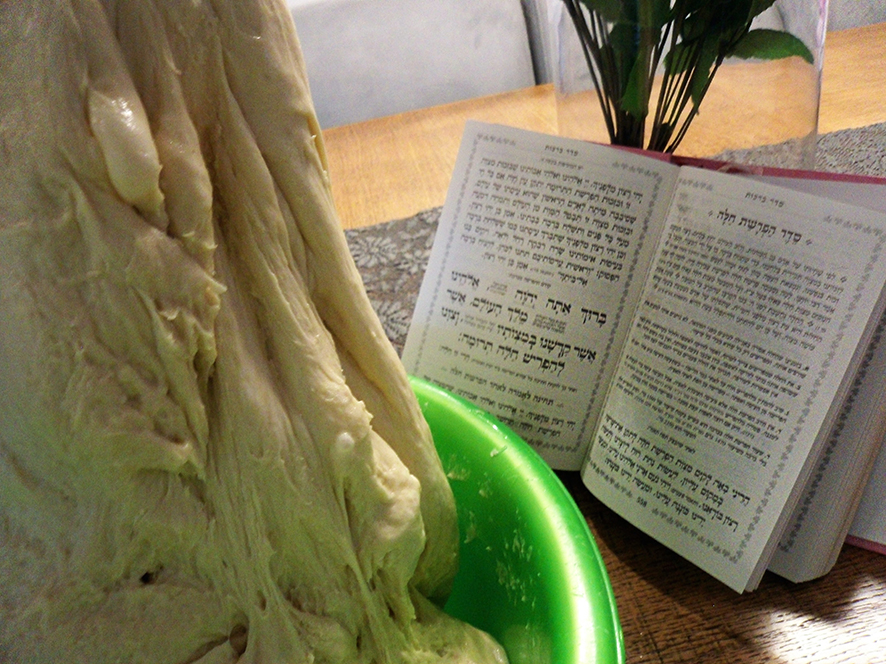 פרויקט גמר עיוני בצילום by shani gamrasni - Illustrated by שני גמרסני - Ourboox.com