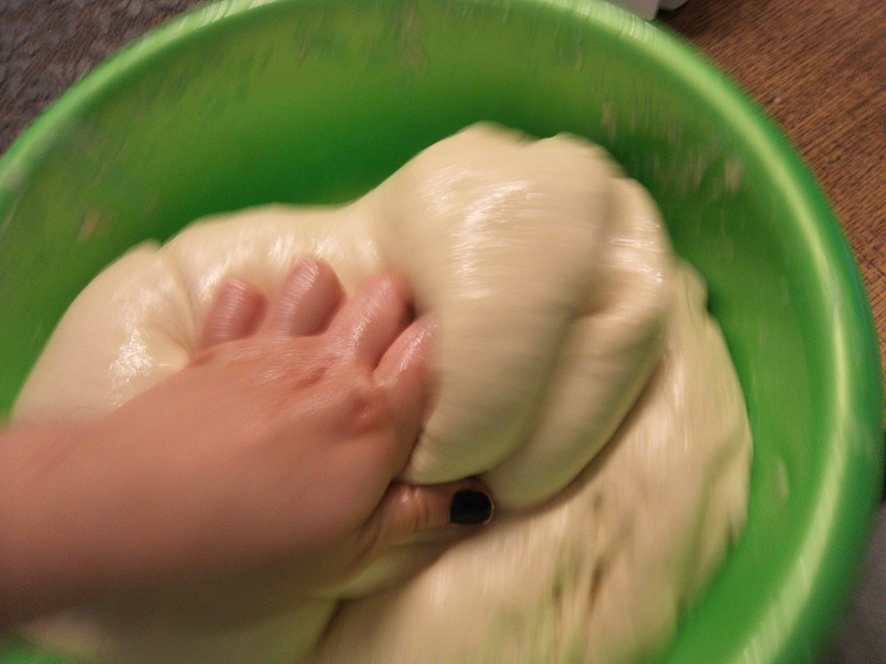 פרויקט גמר עיוני בצילום by shani gamrasni - Illustrated by שני גמרסני - Ourboox.com